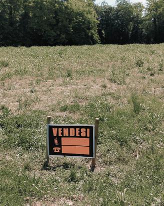Vendita terreno