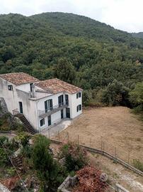 Casale