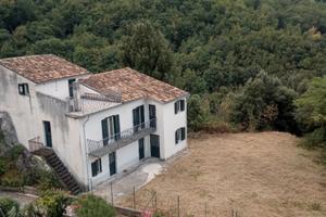 Casale