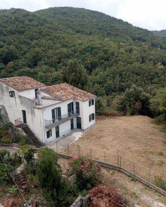 Casale