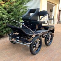 Carrozza Marathon (001)