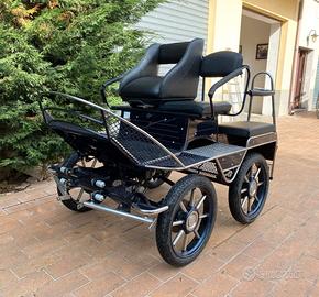 Carrozza Marathon (001)