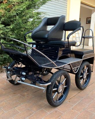 Carrozza Marathon (001)