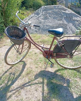 Bicicletta Donna Holland