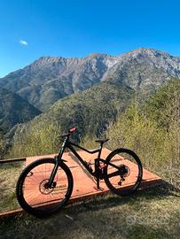 Bici da enduro (scott ransom 930)