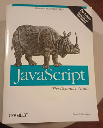 Javascript, The definitive guide