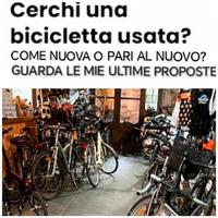 Biciclette City bike 28 Come Nuove di alta Gamma 
