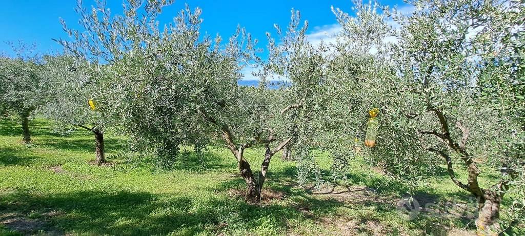 Terreno di 4000 m² a Spoleto - Vista 3
