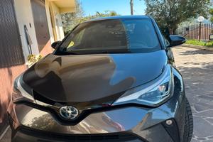 TOYOTA CH-R hybrid