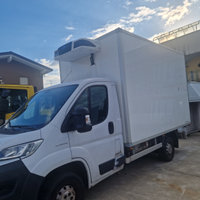 Fiat ducato frigo km 135000