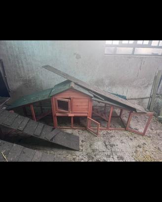 Casina galline