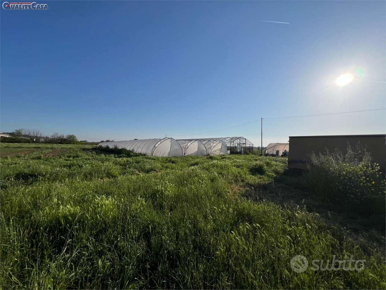TERRENO PRONTO PER ATTIVITA AGRICOLA FALCONARA MA - Vista 5