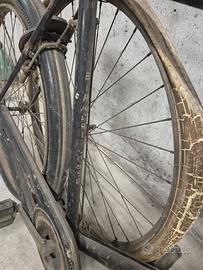 Bici bianchi