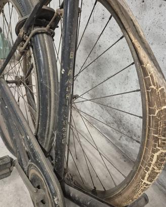 Bici bianchi