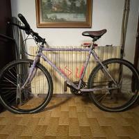 Mountain Bike 26 cambio Shimano