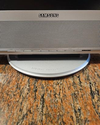 Samsung monitor 