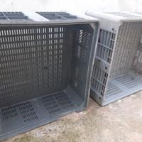 2 ceste di plastica industriale CHE NON SI SPEDISC