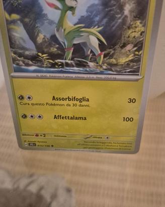carta pokemon