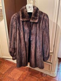 visone 