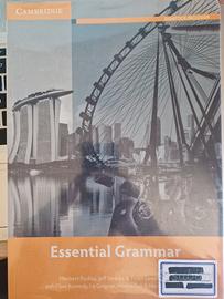libro scolastico ESSENTIAL GRAMMAR 