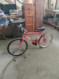 Rampichino Atala raggio 24