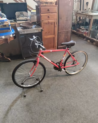 Rampichino Atala raggio 24