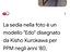 Immagine 3