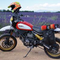 Ducati Scrambler Desert Sled - 2017