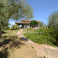 Splendida Villa Indipendente con Uliveto ad Algher