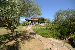 Splendida Villa Indipendente con Uliveto ad Algher