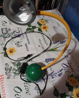 lampada da tavolo