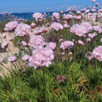 Last minute bilocale