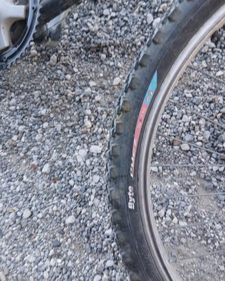 bicicletta 