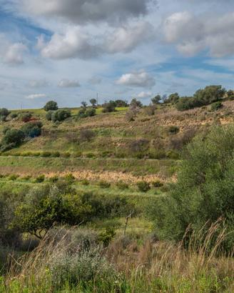 Terreno - Caltagirone