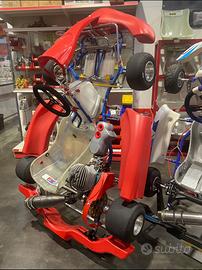 Kart 100 restaurato come nuovo birel comer