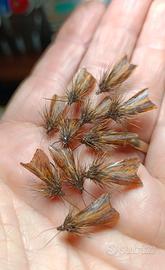 PESCA A MOSCA - 30 Sedge da caccia