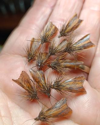 PESCA A MOSCA - 30 Sedge da caccia