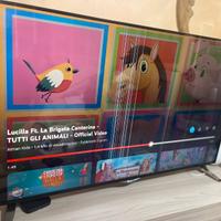 TV LG 4K 55 pollici