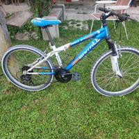 Bici MTB