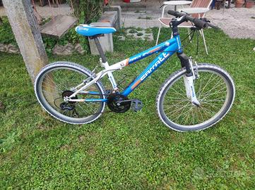 Bici MTB