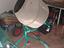 Immagine 1