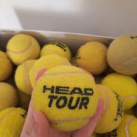 31 palline da tennis Head Tour