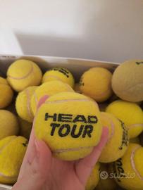 31 palline da tennis Head Tour