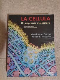 Libro Biologia molecolare - La Cellula (Cooper)