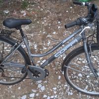 bici da città con seggiolone bimbi