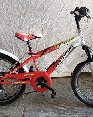 Bici Bambino Torpado Puma da 20 pollici 