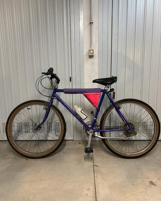 Bici mtb uomo