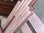 Immagine 10