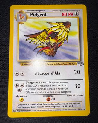 Pidgeot Jungle 24/64
