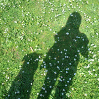 Addestratore Cinofilo